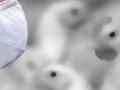 20140102_084138_flu-burung.jpg
