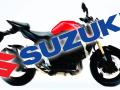 20140103_093251_suzuki-new-model-2014-1.jpg