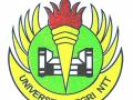 20140111_125125_universitas-pgri-ntt.jpg