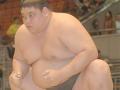 20140112_215902_pesumo-taiga-kazafusan.jpg