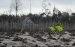 20140119_053309_tertutup-debu-vulkanik-gunung-sinabung.jpg