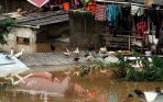 20140119_215535_warga-bertahan-di-ketinggian-banjir.jpg