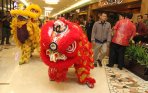 20140130_234528_aksi-barongsai-di-mal.jpg