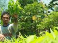 20140206_112452_nur-yasin-petani-organik.jpg