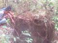 20140210_121824_goa-misterius-muba-1.jpg