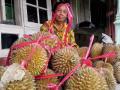 20140210_173203_durian-kelud.jpg