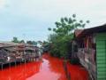 20140211_175257_sungai-merah-bontang.jpg