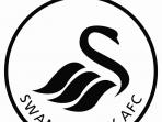 20140220_164333_logo-swansea.jpg