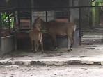 20140221_165349_sapi-pakistan-kbs.jpg