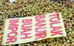20140224_185040_unjuk-rasa-petani-hortikultura-tuntut-hentikan-impor.jpg