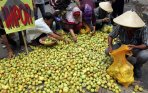 20140224_185756_unjuk-rasa-petani-hortikultura-tuntut-hentikan-impor.jpg