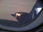 20140225_024737_kuda-di-landasan-bandara-frans-seda-maumere.jpg