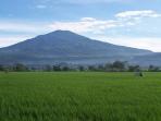 20140305_203524_gunung-ciremai-ceremei.jpg