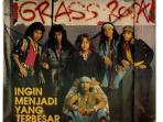 20140310_080628_grass-rock.jpg