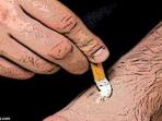 20140325_142541_ilustrasi-disundut-rokok.jpg