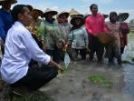 20140401_161701_jokowi-temui-petani-di-ngawi-jawa-timur-1.jpg