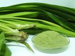 20140408_151139_pandan.jpg