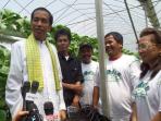20140411_124624_jokowi-rumah-hijau.jpg
