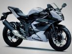 20140411_151143_kawasaki-ninja-rr-mono-250.jpg