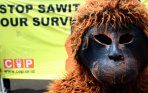 20140416_235827_centre-for-orangutan-protection.jpg