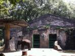 20140418_163205_gajah-ragunan.jpg
