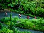 20140510_174939_peserta-minang-bike-2014-sedang-melintas-di-etape-kedua.jpg