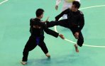 20140513_231318_kejurnas-pencak-silat.jpg