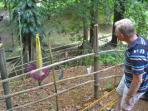20140520_091143_bunga-bangkai-kebun-raya-bogor.jpg