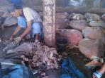 20140528_173929_1-perikanan-pelelangan-ikan-muara-baru2.jpg