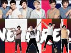 20140602_174824_one-direction.jpg