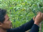 20140603_172956_nur-yasin-petani-organik.jpg