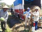 20140607_114705_semangka-bali.jpg