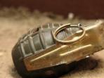 20140608_112119_granat.jpg