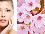 20140612_133519_kecantikan-bunga-sakura.jpg