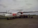 20140613_091525_wing-air_nyaris_01.jpg
