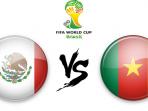 20140613_205954_meksiko-vs-kamerun-2.jpg