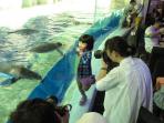 20140705_105230_tuxedos-ocean-park-hongkong.jpg