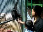 20140728_130610_pengunjung-memberi-satwa-di-tm-ragunan.jpg