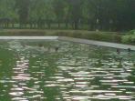 20140728_171853_kolam-monas-nih2.jpg