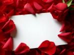 20140809_202140_roses_love_letter-1024x768.jpg