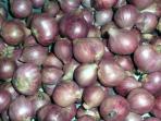 20140814_123505_ilustrasi-bawang-merah-ilegal.jpg