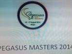 20140814_234646_pegasus-master.jpg
