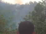 20140816_115633_hutan-ponorogo-terbakar-lek.jpg