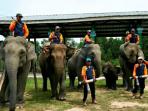 20140824_135437_patroli-gajah.jpg