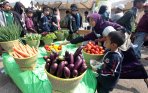 20140831_184057_bandung-agri-market-pamerkan-sayuran-dan-buah.jpg