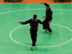 20140909_023611_ilustrasi-pencak-silat.jpg