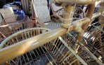 20140910_135344_penjualan-mebel-rotan-stabil.jpg
