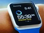 20140911_151255_apple-watch-baterai.jpg