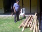 20140915_102038_kayu-hasil-curian-di-surabaya.jpg