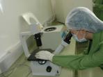 20140918_091115_stem-cell.jpg